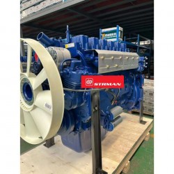 Moteur De Camion STRMAN 420 HP 6 Cylindre