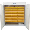 Incubateur automatique 5280 œufs