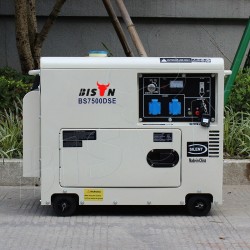 Groupe électrogène Diesel Bison 5KVA