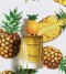 parfum-dolce-gabbana-